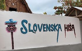 Slovenska Hisa Zanzibar